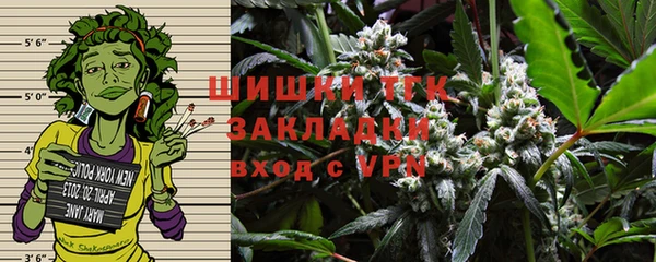 mdpv Заводоуковск
