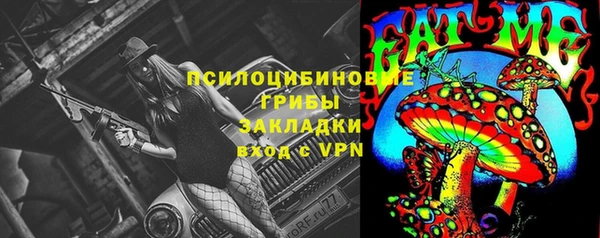 мдма Ельня
