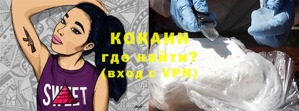 прущие грибы Заволжье