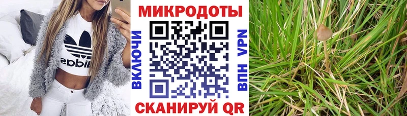 цена Заринск Псилоцибиновые грибы GOLDEN TEACHER