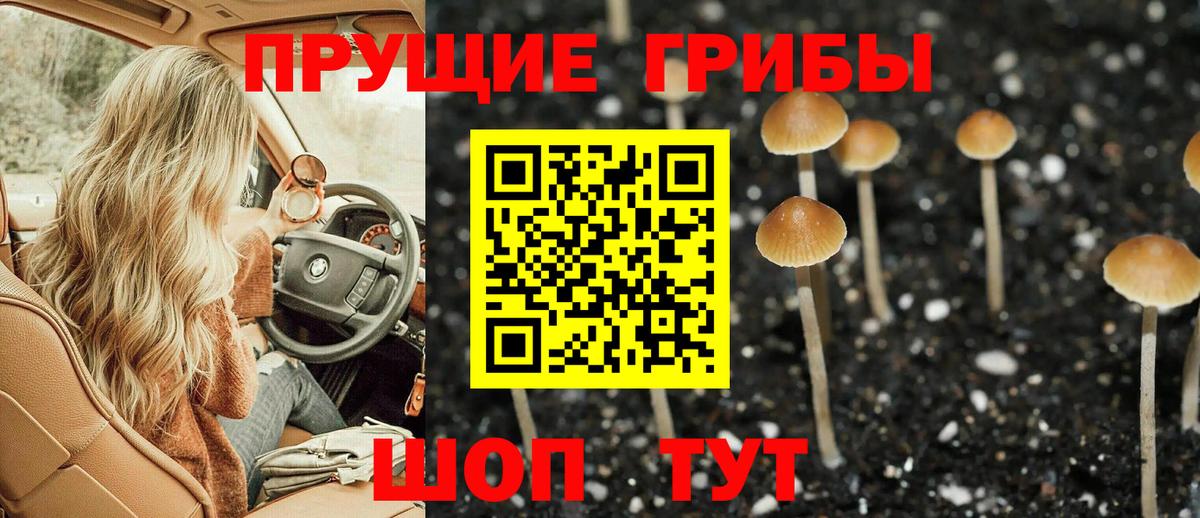 Галлюциногенные грибы мухоморы  Галлюциногенные грибы мухоморы  Вход с VPN  Заринск 