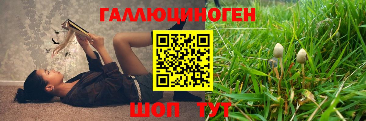 Галлюциногенные грибы мухоморы Заринск